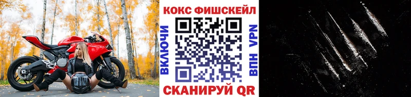 Купить закладки  Невель  КОКАИН Эквадор 