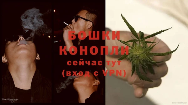 ешки Верхний Тагил