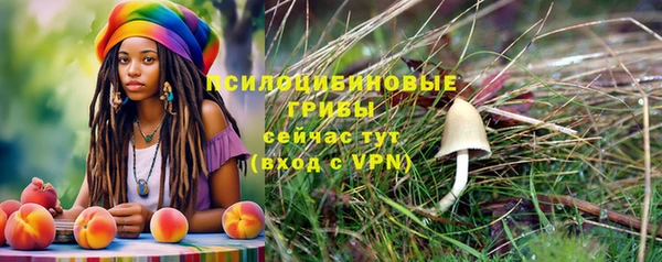 соль ск Верея