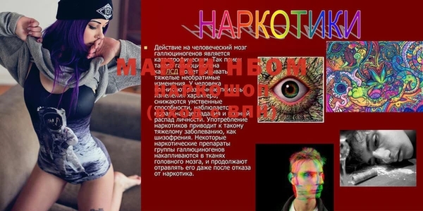 ешки Верхний Тагил
