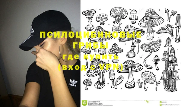 ешки Верхний Тагил
