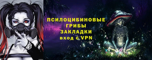 соль ск Верея