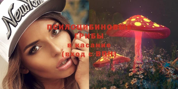 ешки Верхний Тагил