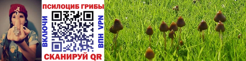 Купить где  Невель  Галлюциногенные грибы Magic Shrooms 